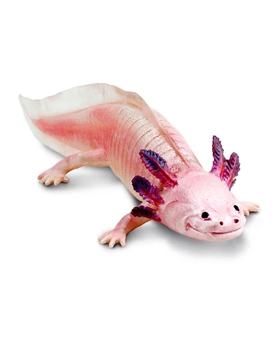 Safari Ltd. Axolotl