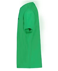 Tommy Hilfiger Boys' 8-20 Linear Flag Crewneck T-Shirt