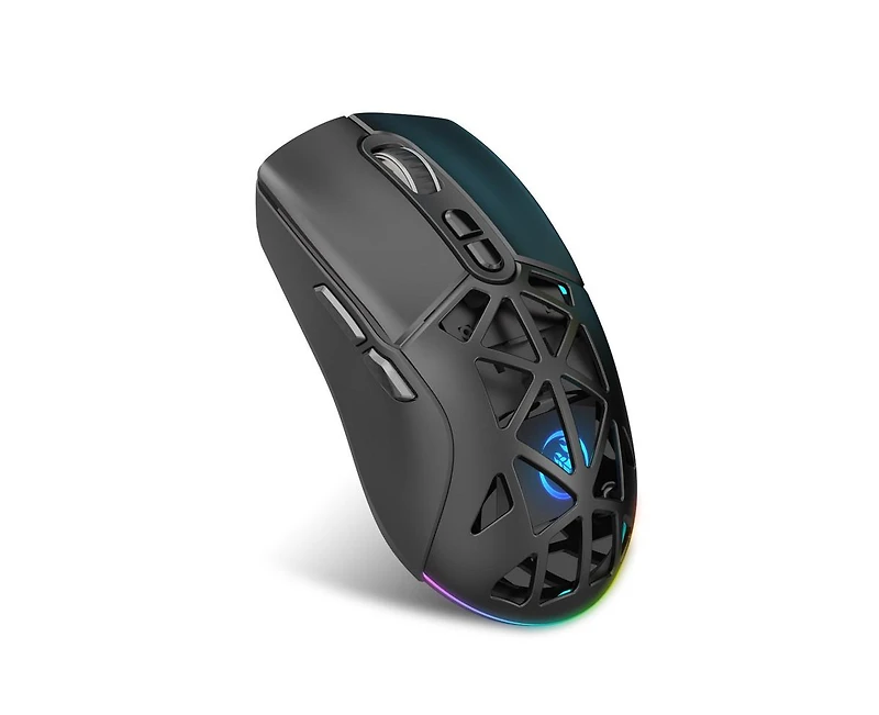 Risokeys Dual-Mode Wireless Gaming Mouse,Rgb Backlit Rechargeable 650mAh,4 Adjustable Dpi 800-4800,Silent Click,Ergonomic Honeycomb Design