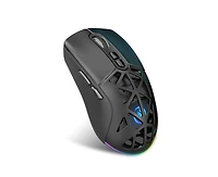 Risokeys Dual-Mode Wireless Gaming Mouse,Rgb Backlit Rechargeable 650mAh,4 Adjustable Dpi 800-4800,Silent Click,Ergonomic Honeycomb Design