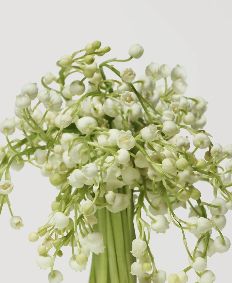 Donna Karan New York 3-Pc. Deluxe Cashmere Mist Eau De Parfum Set