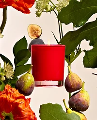 Apotheke Fig and Olive Petite Scented Candle, 5 oz.