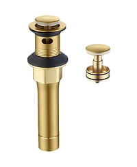 Rainsken Bathroom Sink Drain