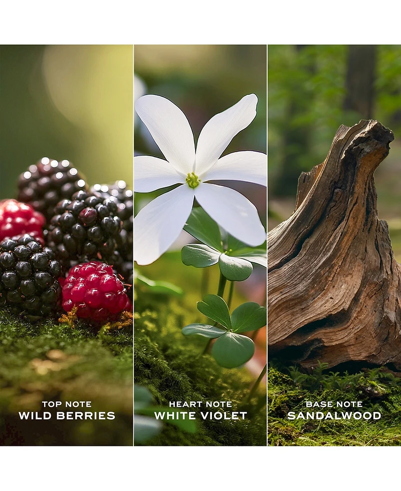 Marc Jacobs 2-Pc. Daisy Eau De Toilette Spray Gift Set