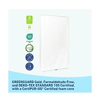 Graco Premium Dual-Comfort 6-Inch Crib & Mattress