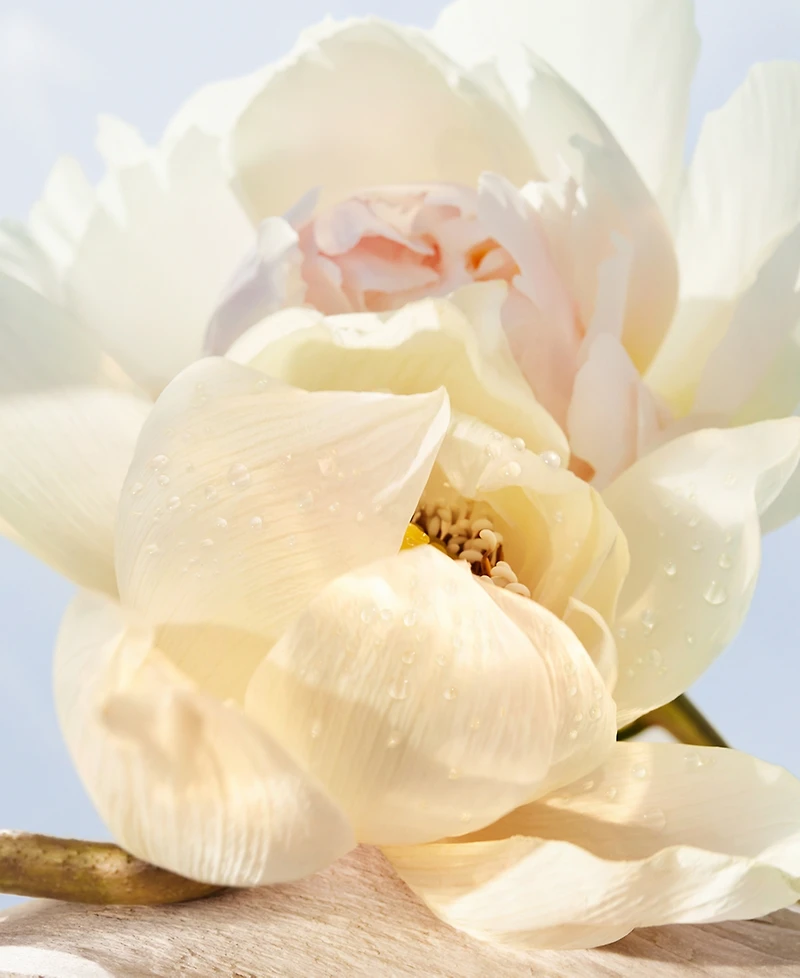 Bvlgari 3-Pc. Omnia Crystalline Eau De Toilette Gift Set