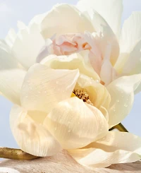 Bvlgari 3-Pc. Omnia Crystalline Eau De Toilette Gift Set