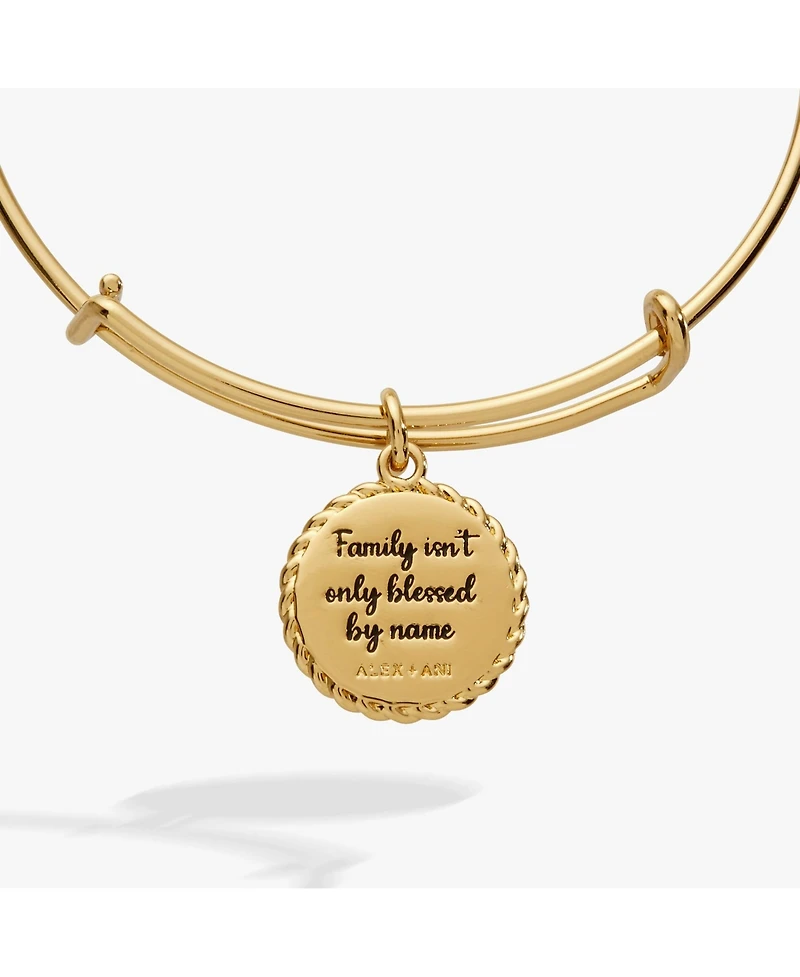 Alex and Ani Bonus Mom 'Family Isn't Only Blessed By Name' Charm Bangle