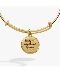 Alex and Ani Bonus Mom 'Family Isn't Only Blessed By Name' Charm Bangle