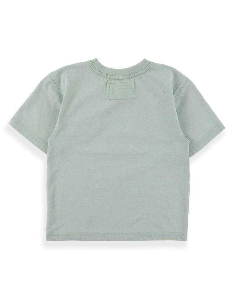 Sovereign Code Boys' 2T-7 Graphic Print T-Shirt and Shorts, 2-Piece Set