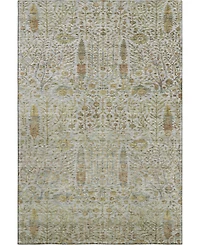 Addison Mayfield AMF2053 8'x10' Area Rug