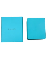 Pre-Owned Tiffany & Co Platinum Diamond Elsa Peretti Bean Pendant