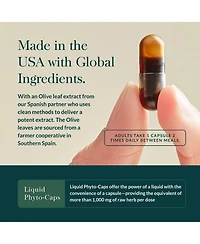 Gaia Herbs Olive Leaf - Traditional Immune Health Support - Immune System Supplement with Olive Leaf Extract and Oleuropein