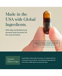 Gaia Herbs Thyroid Support - Made with Ashwagandha, Kelp, Brown Seaweed, and Schisandra to Support Healthy Metabolic Balance and Overall Well-Being