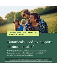 Gaia Herbs Bronchial Wellness Syrup - Immune Support Supplement to Help Maintain Lung Health and Help Provide Comfort for Occasional Sore Throat