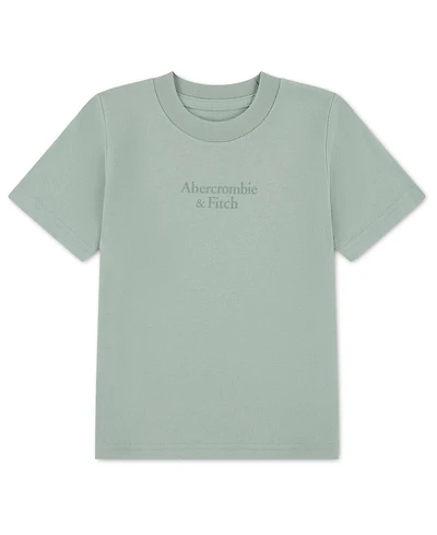 abercrombie kids Boys' Logo Classic T-shirts