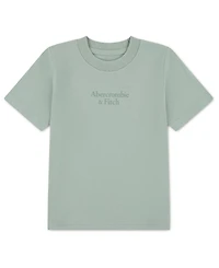 abercrombie kids Boys' Logo Classic T-shirts