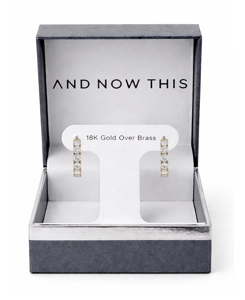 And Now This Cubic Zirconia Inside Outside Hoop Earring