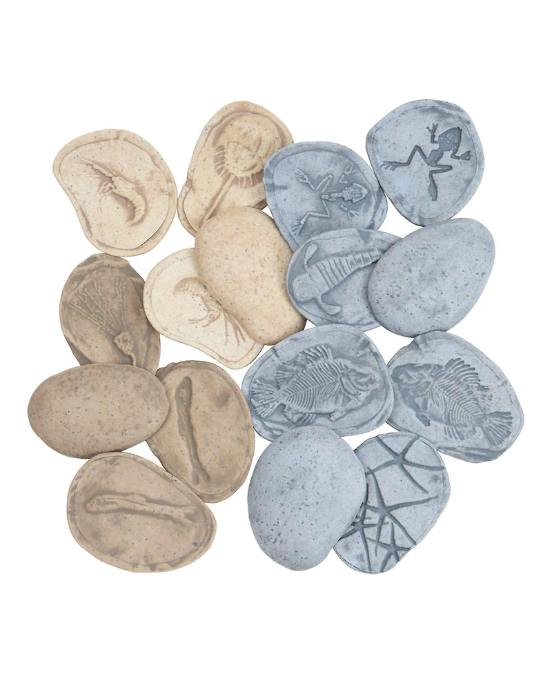 Kaplan Early Learning Magnetic Matching Aquatic Life Fossil Stones - Set of 8