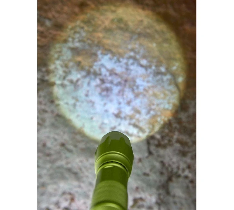 Haba Terra Kids Flashlight with Carabiner Clip, Kids Outdoor Toys, 4 Way Light Ideal for Kids Camping Essentials, Ages 6 and Up