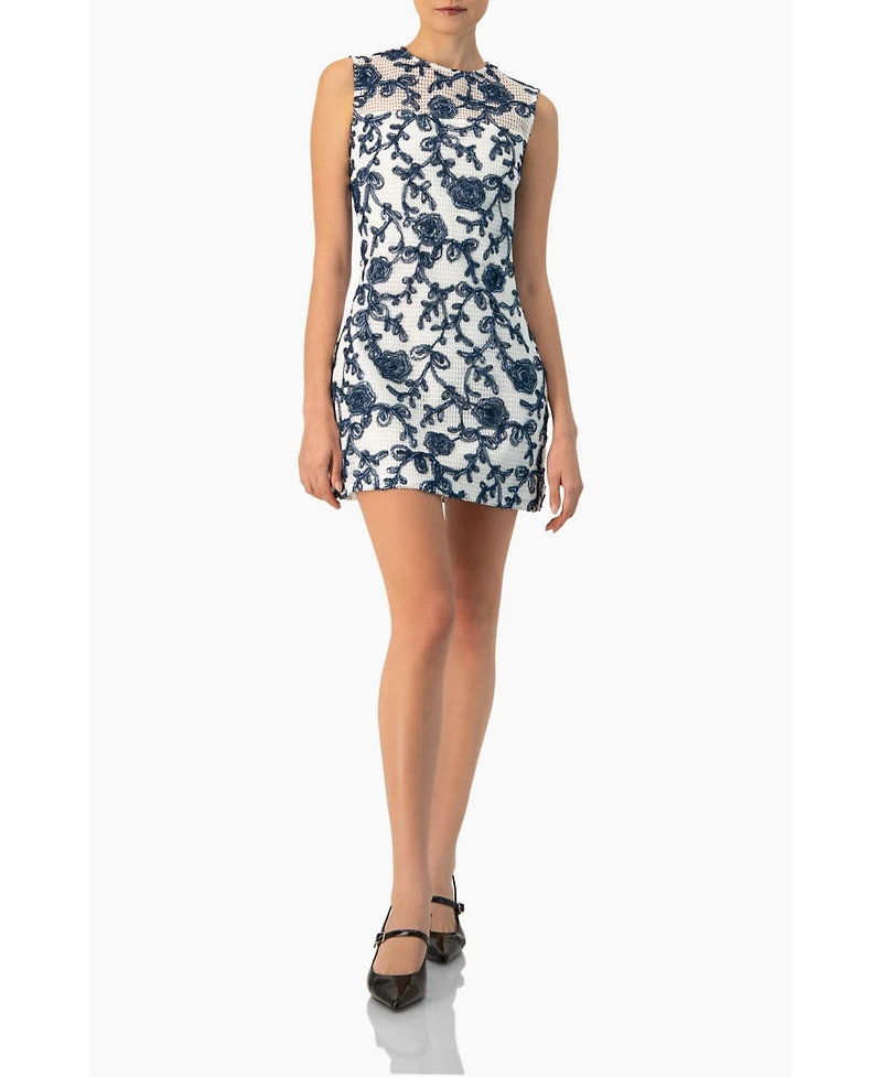 Ivonne Women's Sleeveless Embroidered A-Line Dress