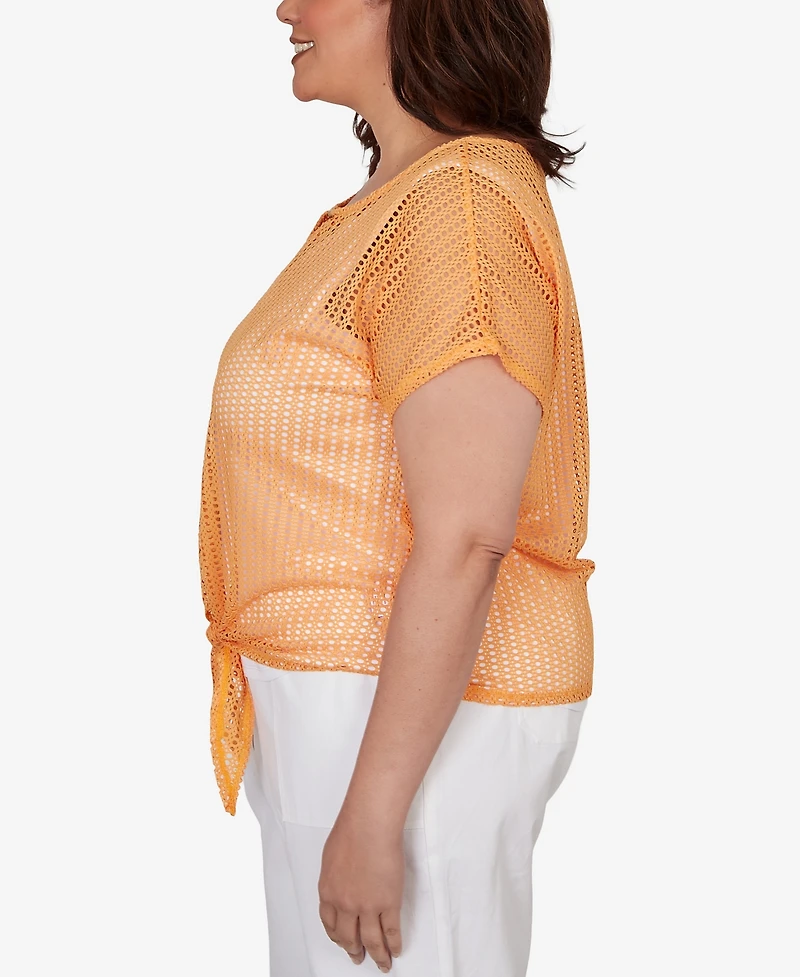 Hearts Of Palm Plus Solid Textured Knit Top