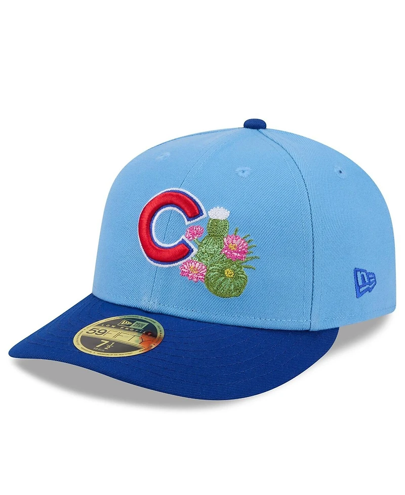 New Era Men's Light Blue/Royal Chicago Cubs 2026 Spring Training Low Profile 59FIFTY Fitted Hat
