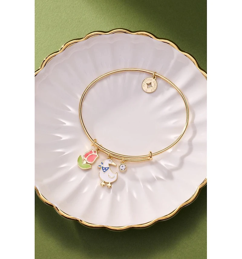 Alex and Ani Garden Party Multi Charm Bangle Bracelet