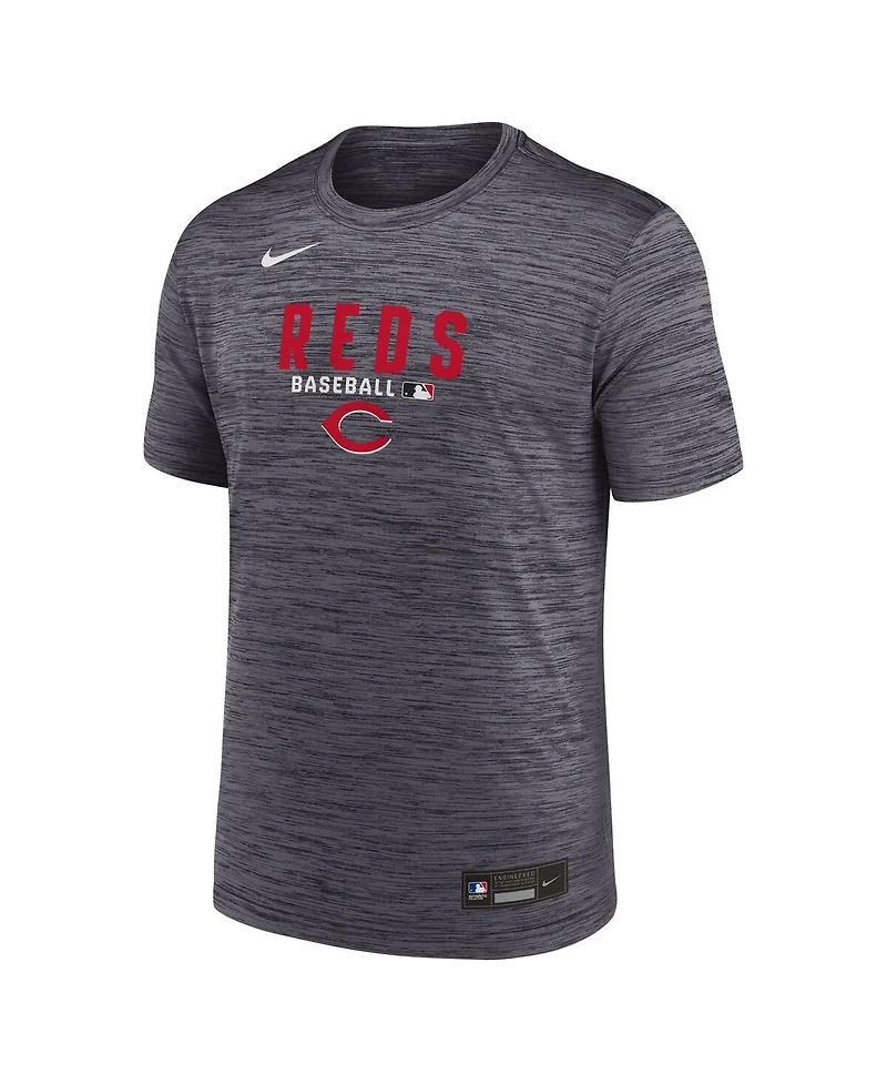 Nike Men's Black Cincinnati Reds Authentic Collection Velocity Dri-fit T-Shirt