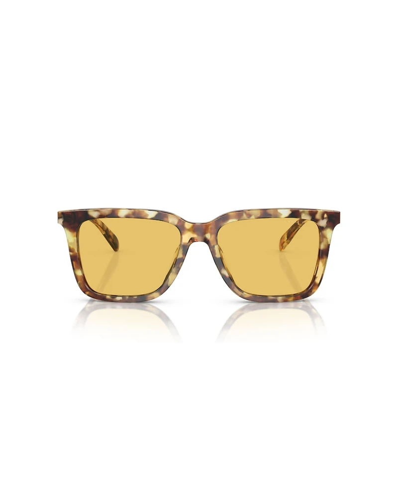 Coach Men's CL910 Sunglasses HC8385U