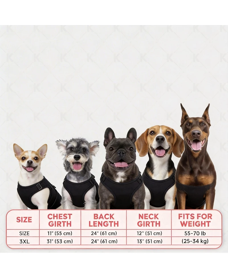 Aronkl 2-Pack Lightweight Athletic Dog T-Shirt with Reflective Label for Outdoor Use