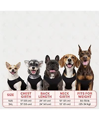 Aronkl 2-Pack Lightweight Athletic Dog T-Shirt with Reflective Label for Outdoor Use