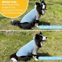 Aronkl 2-Pack Lightweight Athletic Dog T-Shirt with Reflective Label for Outdoor Use