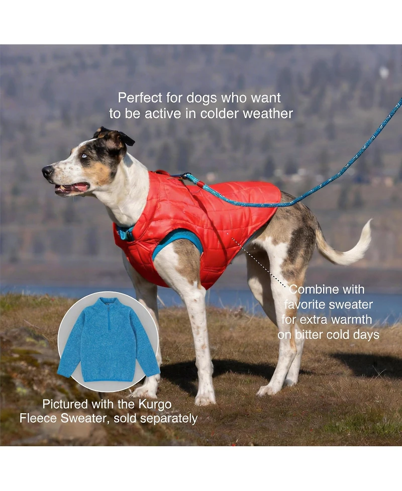 Aronkl Loft Dog Jacket: Insulated, Reversible, Water-Resistant, Reflective, Adventure Ready