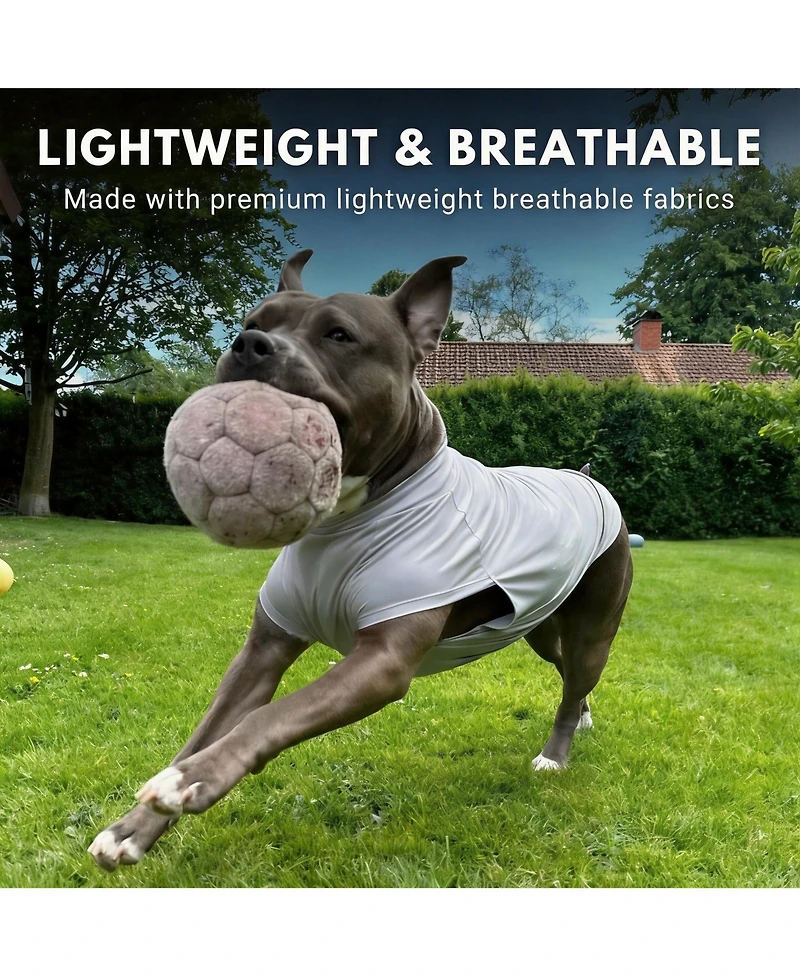 Aronkl Uv Protection Spf 30 Breathable Quick Dry Dog T Shirt