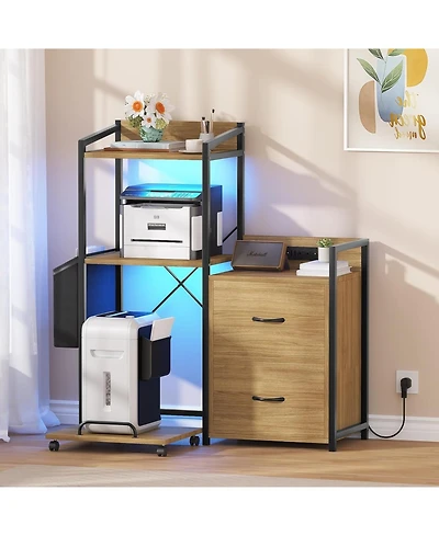 gaomon 2 Drawer File Cabinet for Letter