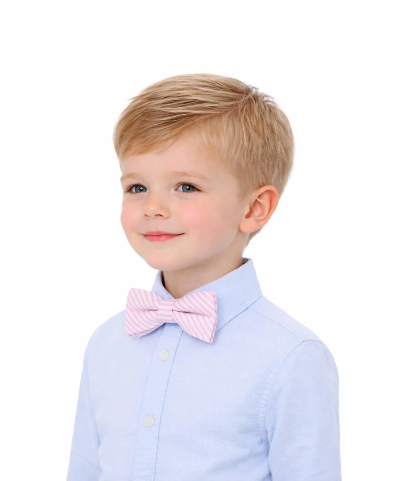 Bits & Bows Boys Little/Big Seersucker Bow Tie