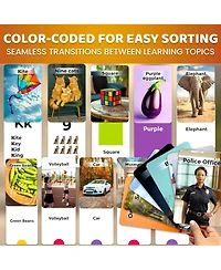 Quokka Flash Cards for Kids and Adults – Large Preschool Speech Therapy, Aba Esl Teaching, Early Childhood Education,