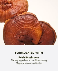 Origins Dr. Andrew Weil for Origins Mega-Mushroom Skin Relief Micellar Cleanser, 6.7 oz.