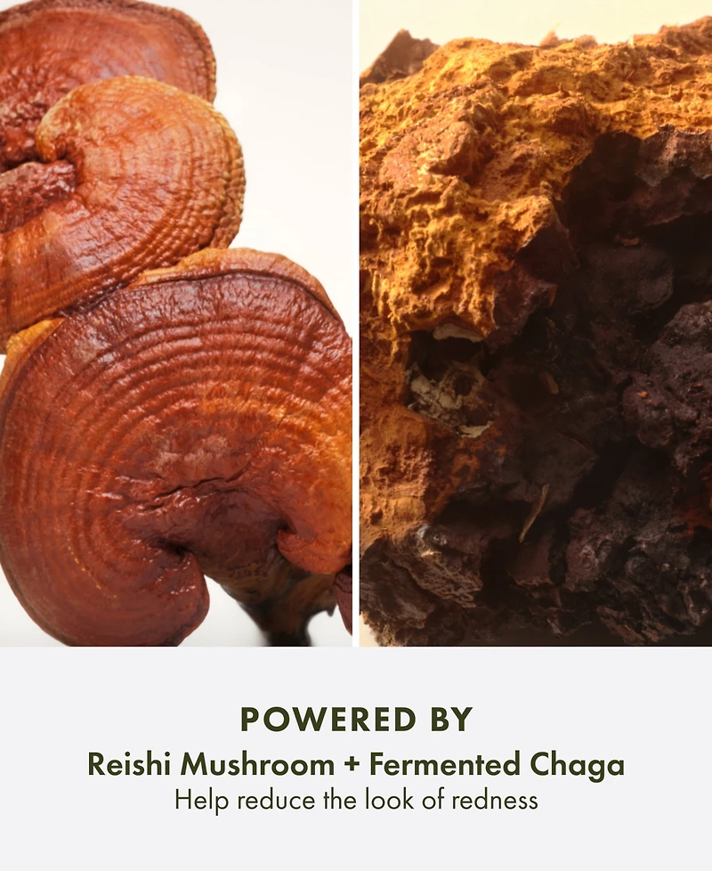 Origins Mega-Mushroom Relief & Resilience Fortifying Emulsion