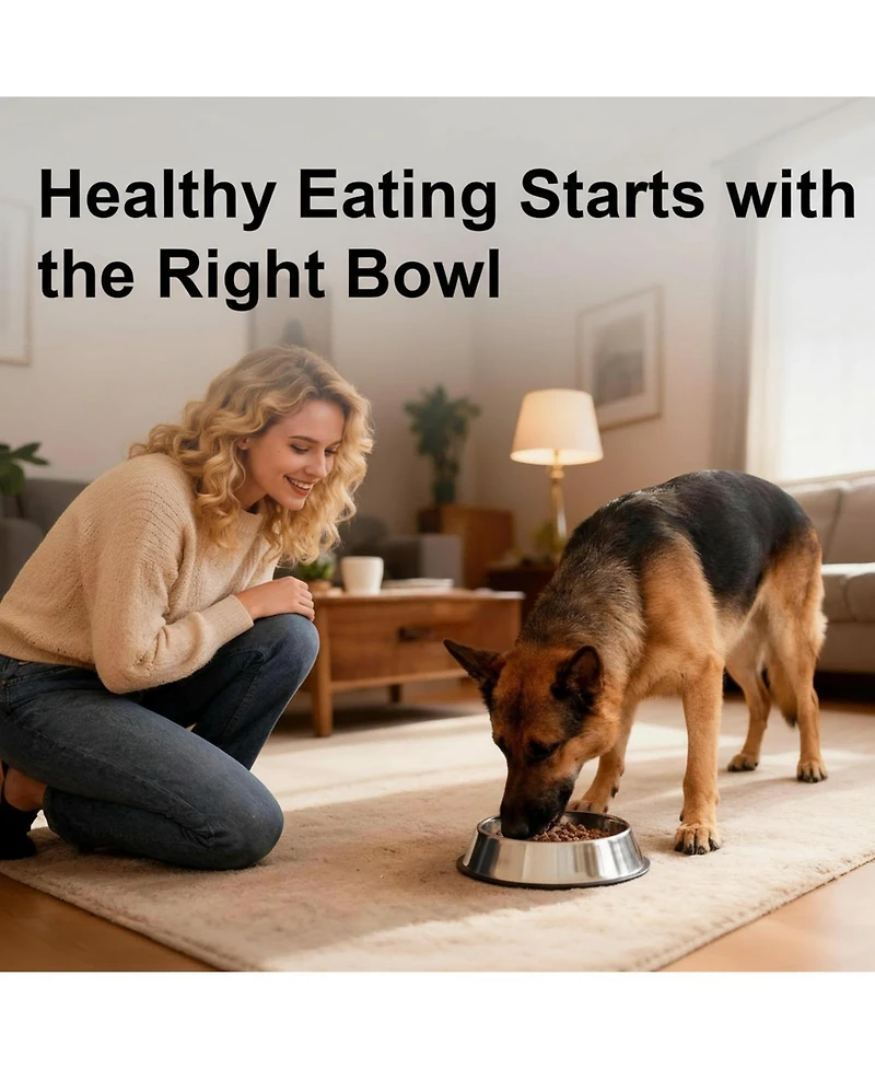 Aronkl 304 Stainless Steel Slow Feeder Dog Bowl 2.5 Cups Non-Slip Raised Design for Medium Large Dogs