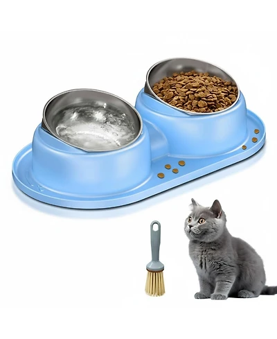 Aronkl Elevated Stainless Steel Tilted Anti Vomiting Non Spill Cat & Dog Bowls with Mat