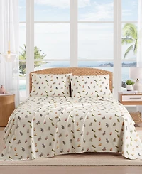 Tommy Bahama Home Beach 200-Thread Count Chairs Cotton Percale 3-Pc. Sheet Set, Twin