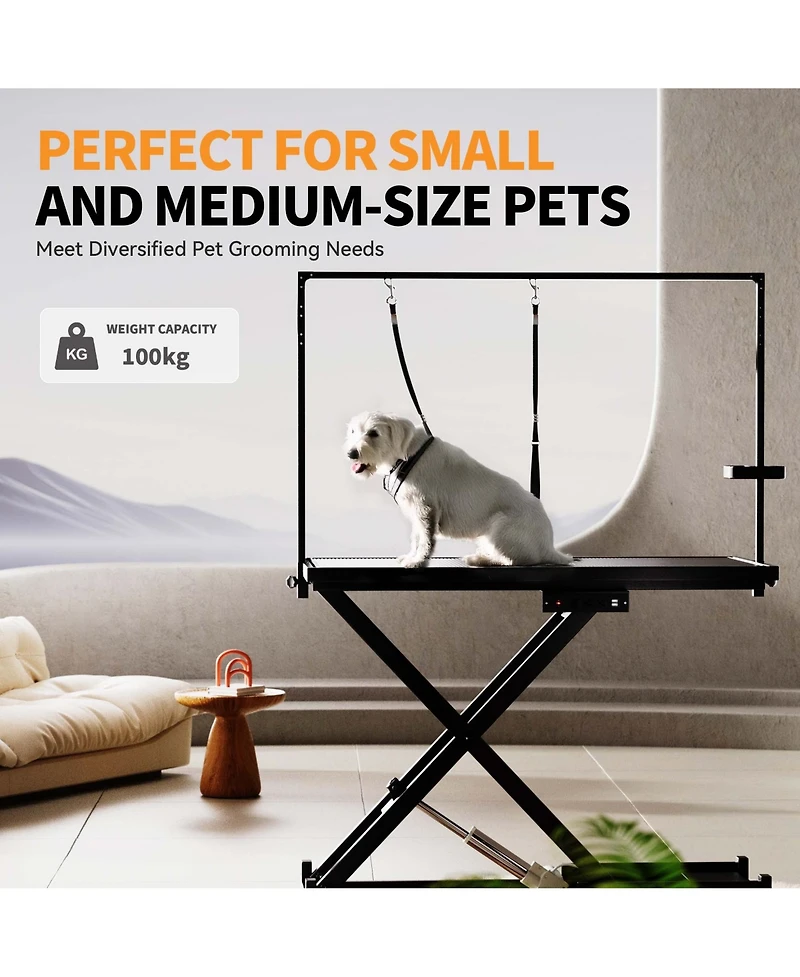 Aostirmotor 50" Black Professional Electric Dog Grooming Table Height Adjustable with Arm and Tool Organizer