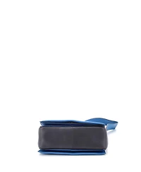 Pre-Owned Celine Medium Frame Shoulder Bag Leather