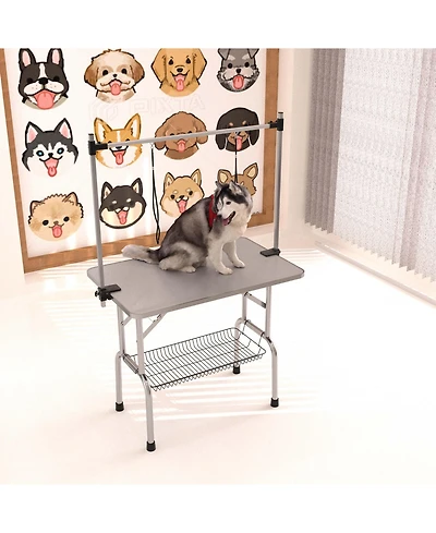 Aostirmotor 42" Silver- Folding Pet Grooming Table with Stainless Steel Frame and Adjustable Arm