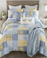 Donna Sharp Spring Flowers 3-Pc. Quilt Set, King