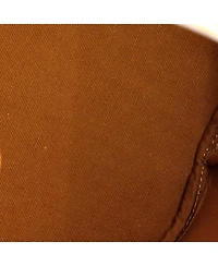 Pre-Owned Celine Clara Bucket Bag Triomphe Coated Canvas