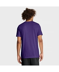Nike Men's Purple Lsu Tigers Primetime Baseball Icon Legend Dri-fit T-Shirt