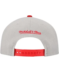 Mitchell & Ness Men's Gray St. Louis Cardinals Knock Out Panel Snapback Hat